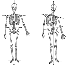 skeleton2.gif